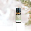 ECO. Modern Essentials Australian Shores Essential Oil Blend, 10ml