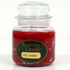 Christmas Essence Jar Candles 16 oz