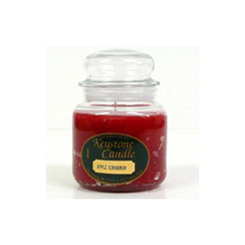 Christmas Essence Jar Candles 16 oz