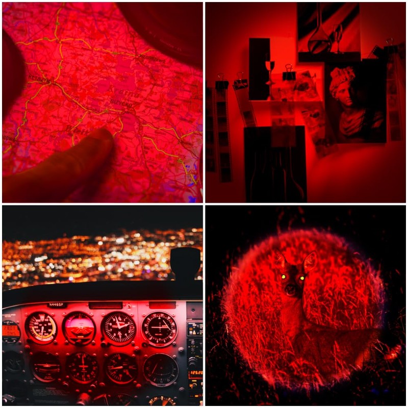 WAYLLSHINE High Power 1 Mode Red LED Flashlight, Single Mode