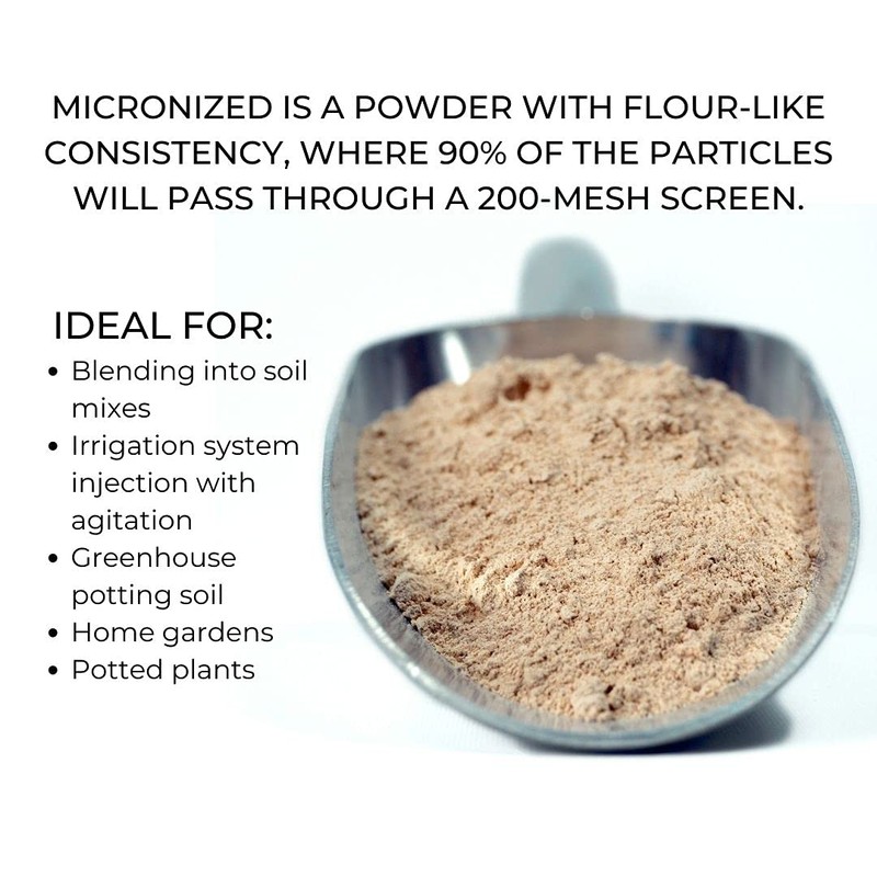 Azomite Micronized Trace Mineral Powder (5 Pounds)