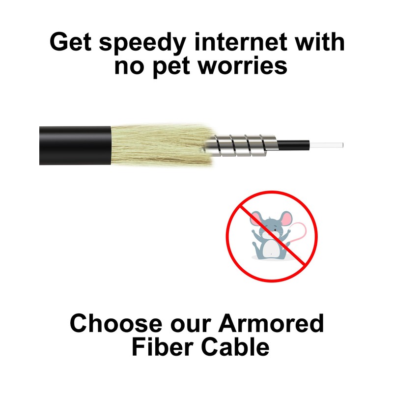 VANDESAIL 75M/246ft SC/APC Fiber Optic Internet Cable 100ft, Outdoor Armored