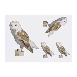 Azeeda 4 x 'Schleiereule' Temporäre Tattoos - Wasserfest, Hautfreundlich & Ungiftig · Transfers in Verschiedenen Größen (TO00051529)