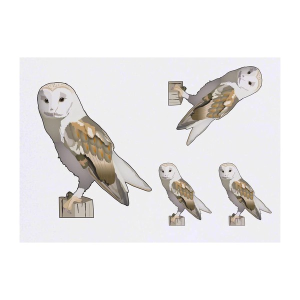 Azeeda 4 x 'Schleiereule' Temporäre Tattoos - Wasserfest, Hautfreundlich &