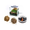 Generic Tiny Terrarium Kit for Springtails (4x4 inch) - BioActive