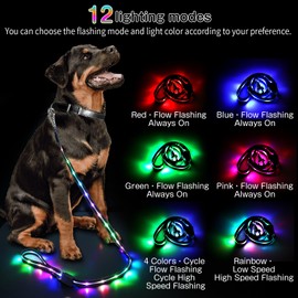Led Dog Leash: 12 Lighting Modes Light Up Dog Leash Rechargeable - 5 Ft Lighted Dog Leash for Night Walking Safety Glow in The Dark, Silicone Dog Leash for Small Medium Large Dogs Walking at Night