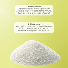 Matter IG-Forte, Suplemento de Calostro Bovino en Polvo 30% IgG y L-Glutamina USP, Apoyo a la Barrera Intestinal, Protección Celular y Bienestar Integ