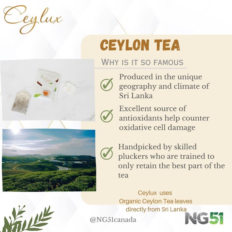 Ceylux,Premium Organic Ceylon Cinnamon Tea Drink | 100% Organic |