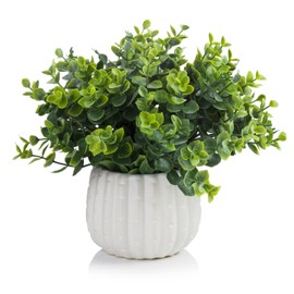 ENOVA FLORAL Artificial Potted Plants, Fake Green Eucalyptus Plants in White Ceramic Pots, Small Fake Plants for Living Room, Shelf, Bathroom, Home Decor Indoor