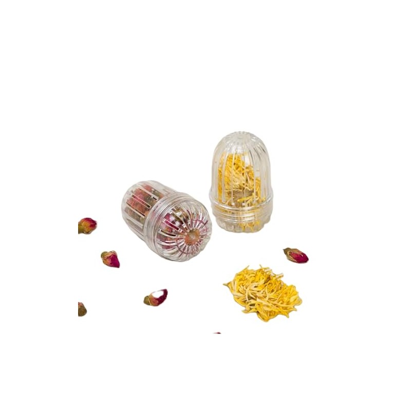 2-Pack Fruit Infuser Inserts for Wide Mouth Water Bottles, Leak-Proof