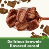 Cascadian Farm Organic Brownie Crunch Cereal, Gluten Free, Whole Grain