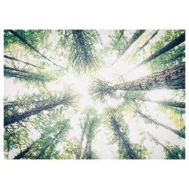 IKEA BJORKSTA PICTURE 55 x 39 ¼" (Frame Not Included) Look Up 205.316.30 New