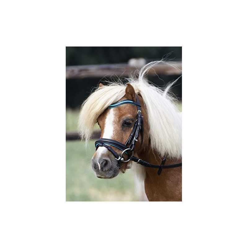 BUSSE Little Bridle