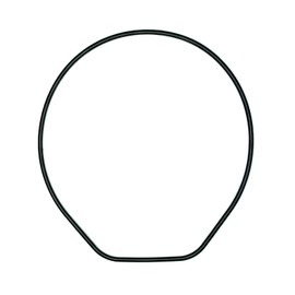 CASIO Genuine DW6900 Replacement Gasket O-Ring DW290