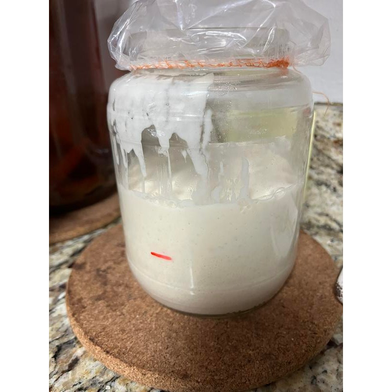 Dehydrated Sourdough Starter - Air Dried, For making bread, Natural