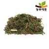 측백엽 300g 국산 300g Domestic Thuja Leaf