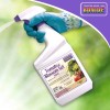 Bonide Tomato & Blossom Spray Set, 32 oz Ready-to-Use Pack