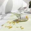 SanaExpert Omega-3 Fatty Acids, 1000 mg, with Natural Fish Oil