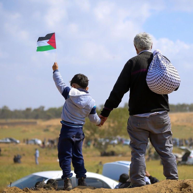 Anley Palestine Mini Flag 12 Pack - Hand Held Small