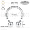 BodyAce F136 Titanium Septum Hoops Cartilage Earring, Internally Threaded Helix