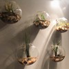 GASPRO 8lb Natural River Rocks, Decorative Rocks for Planters, Pots