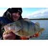 Major Fish Bass Box 35-Piece Rubber Fish Hard Baits Set