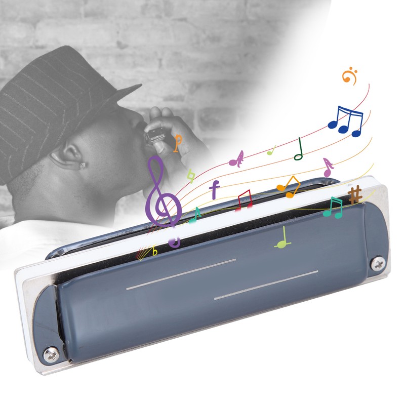 Blues Harp Harmonica 10‑Hole Professional Mouthorgan G Key Gifts Stainless