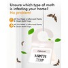 Pantry Moth Traps - Extra Strength Hanging Clothes Clothing Moth