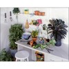 Custom Size 3/16'' X 12'' X 24'' Pegboard White Panel
