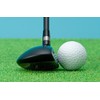 UT-00-R Fantast Pro TICN Utility #0 Short Carbon Shaft R
