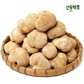 Premium dried Helicopteranium mushrooms 500g made in China / 프리미엄 건조 노루궁뎅이버섯 500g 중국산