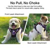 Petmolico No Pull Dog Harness Set, 2 Leash Attchment Easy