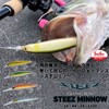 DAIWA Bass Steese Minnow Champagne Crokin 110SP MR Lure