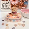 No Furries Delights 100% Organic & All Natural Treat for