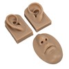3D Nose and Mouth Model Silicone Ear Model Simulation Display