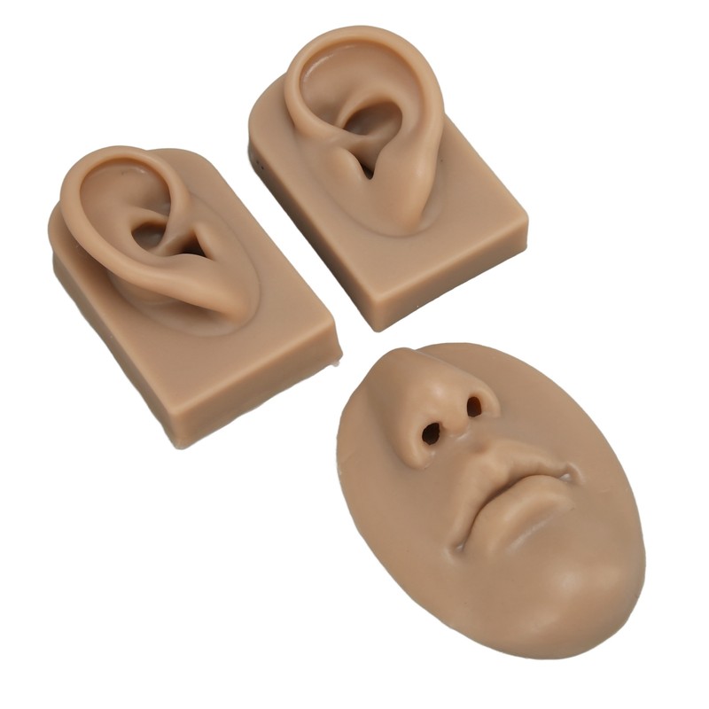 3D Nose and Mouth Model Silicone Ear Model Simulation Display