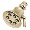 Speakman S-2254-PB Showerhead, 2.5 GPM, Polished Brass
