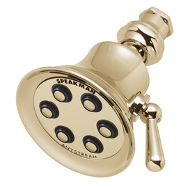 Speakman S-2254-PB Showerhead, 2.5 GPM, Polished Brass