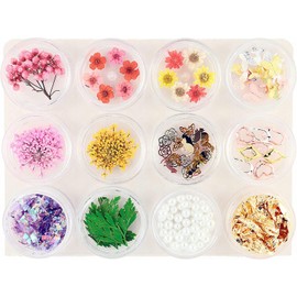 Princess-style Resin Parts with Glittering Butterfly, Nail Resin, Pressed Flowers, Set of 12