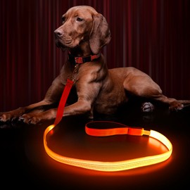 LED Dog Lead for Dogs, Dog Lead Large Small Medium Dogs with Padded, 3 Lighting Modes Dog Lead, Waterproof Dog Lead, Luminous Dog Lead, Dog Leash