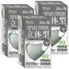 iSDG SPUN MASK (90 Pieces, 30 Sheets x 3 Boxes)