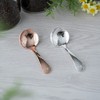 Aoyoshi CASUAL PRODUCT 510816 Tea Caddy Spoon Ladle, Pink Gold,