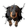 Dachshund 3D Ripped Effect Car Sticker, Funny Dog Decorative Sticker