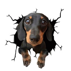 Dachshund 3D Ripped Effect Car Sticker, Funny Dog Decorative Sticker for Laptop and Fridge, Reflective, Waterproof, for Car Windows and Bumper (15 cm/5.9 Inches)