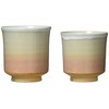 萩 Burn Princess 萩 Pair Tea Bowls 6154 – 027