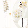 OBDXZHC 2 Pcs 37.4inch Artificial Orchid Stems 10 Large Head