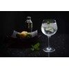 Dartington Crystal WB427/P Wine and Bar, Copa Gin and Tonic,