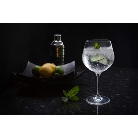 Dartington Crystal WB427/P Wine and Bar, Copa Gin and Tonic, 2 Pack, Crystal, 22 x 11.5 x 21.5 cm