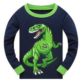 Akyzic Little Boys Pajamas Children Dinosaur Pjs Set Toddler Cotton Long Sleeve Sleepwear 2 Piece Outfit Nightwear For Kids Age 10 Years