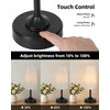 EZVALO Cordless Table Lamp, Ambient Light, Dimmable, Touch, Timer, 2700K,